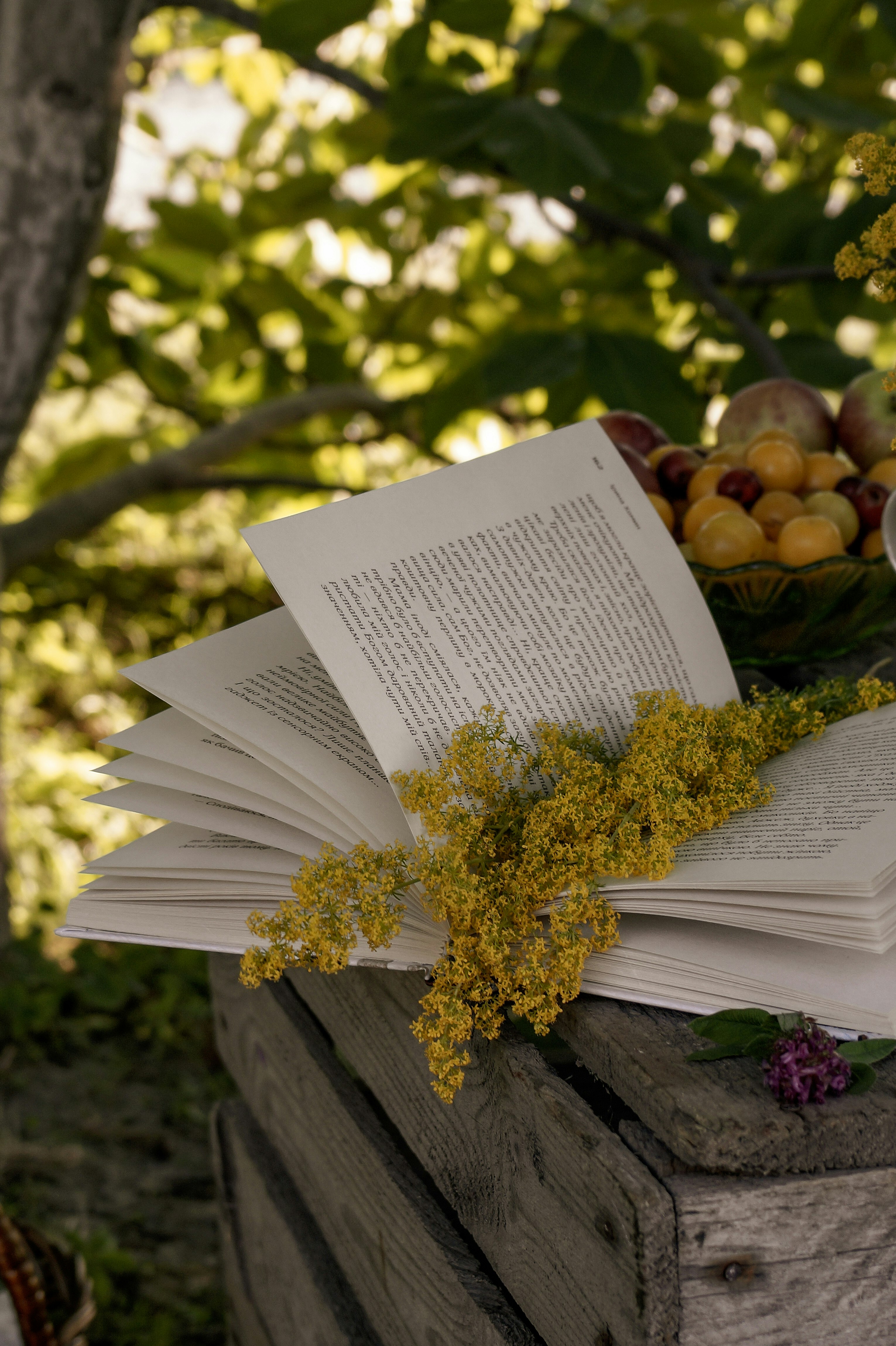 white book page on brown wooden fence